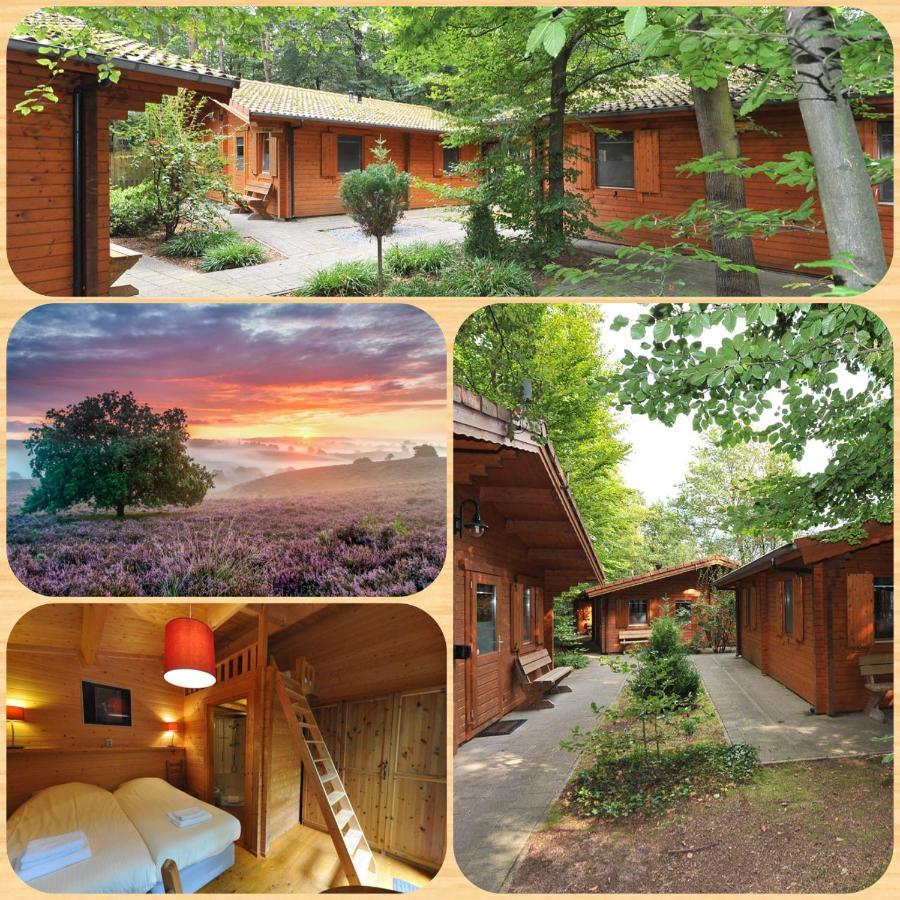 Lodge Veluwse Poort Dieren