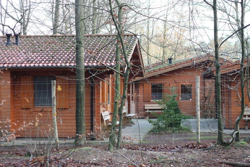 Veluwse Poort Dieren